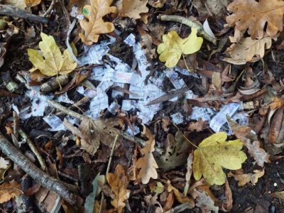 Graanrepubliek_oktober_2024_85